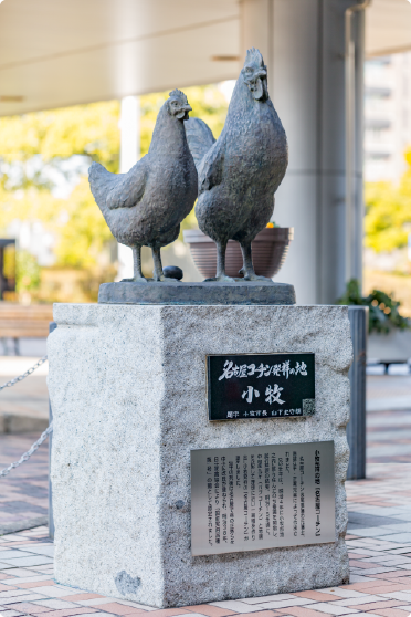 私たちの地域資源、名古屋コーチン