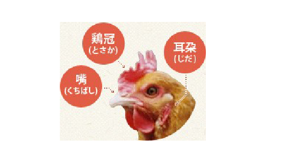アセット 32.png